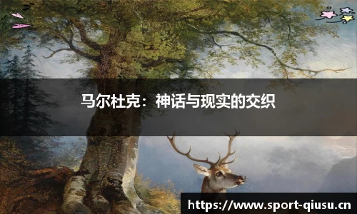球速体育官网