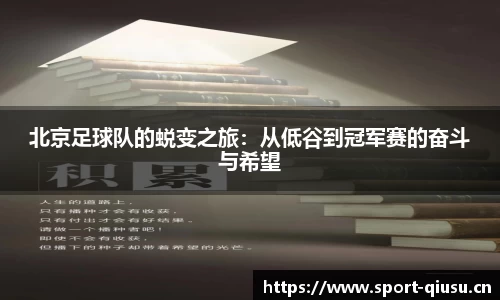 球速体育平台