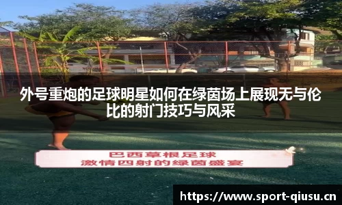 球速体育平台